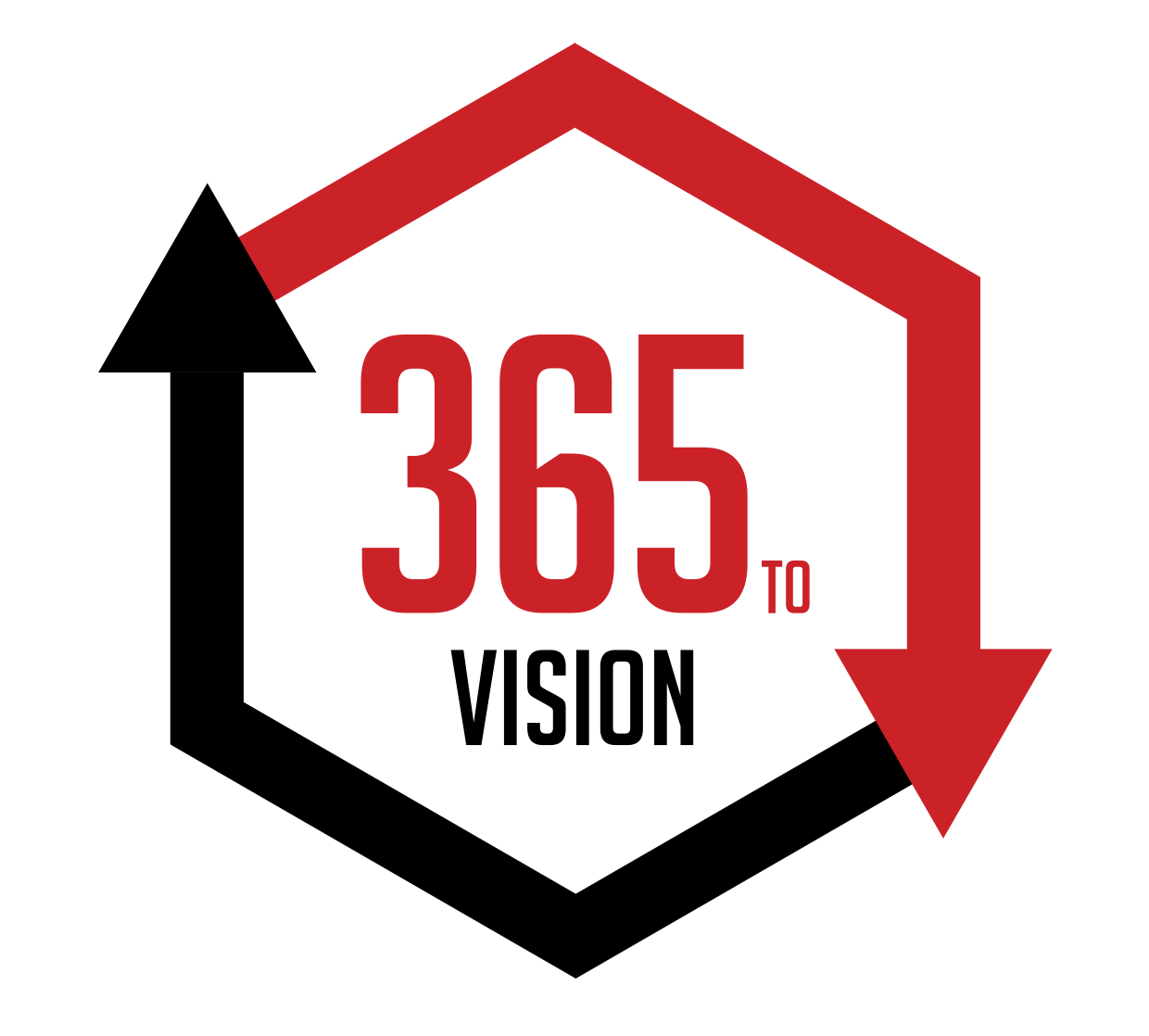 365 to Vision